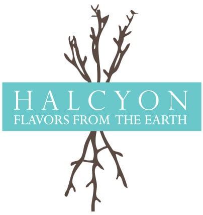 Halcyon logo